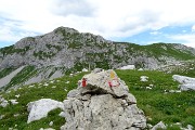 53 Da qui il sentiero 'alpinistico' nord Arera